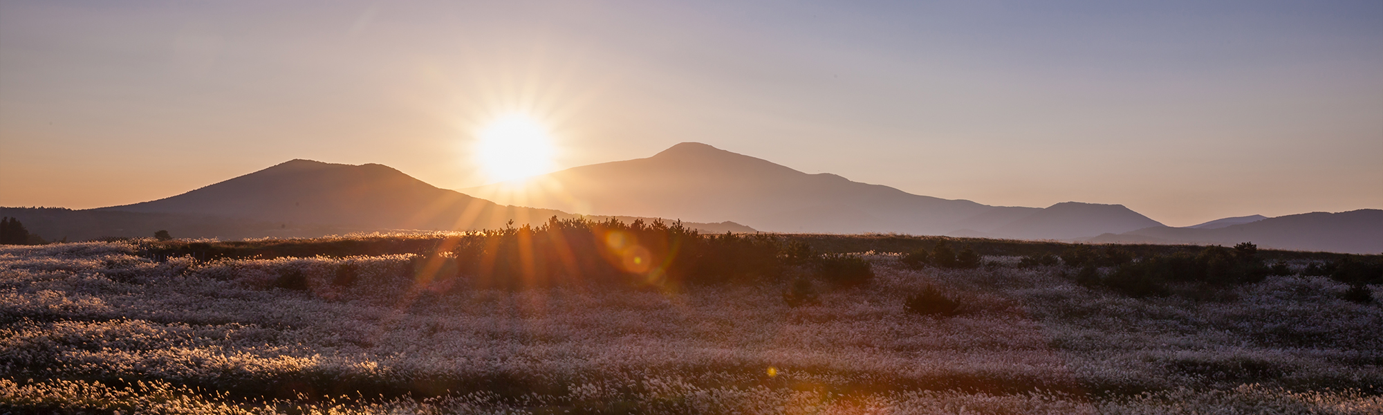 20230814143655_wPhOV4TA.jpg_carousel_부천유명한점집 글문도사_부천유명한점집,글문도사,부천점집,부천신점,부천용한점집,부천점잘보는곳,부천유명점집,사업운,조상운,점술
