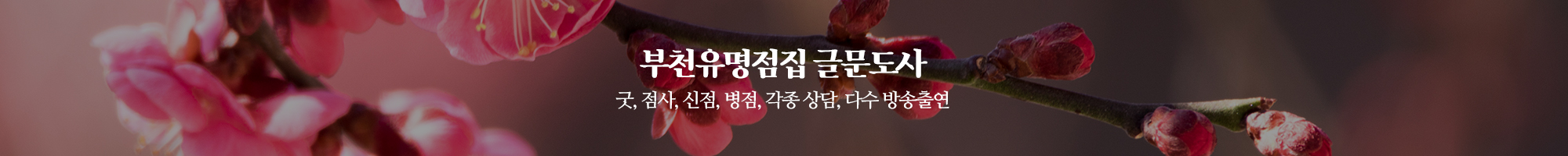 글문도사_이미지pc