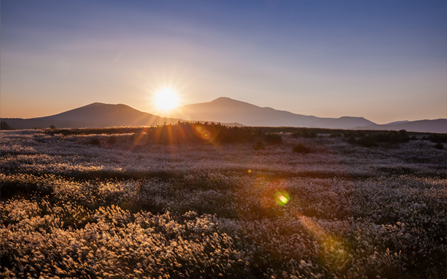 20230814143800_pPlO435E.jpg_carousel_부천유명한점집 글문도사_부천유명한점집,글문도사,부천점집,부천신점,부천용한점집,부천점잘보는곳,부천유명점집,사업운,조상운,점술